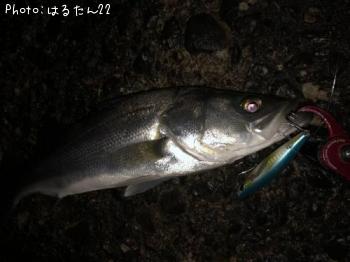 �����Х�