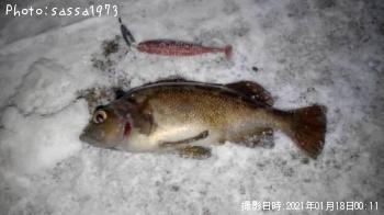 ������Х�