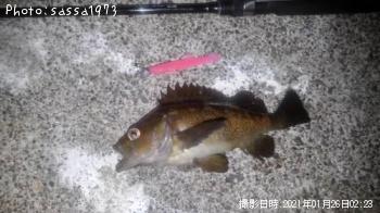 ¥¨¥¾¥á¥Ð¥ë