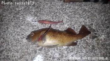 ¥¨¥¾¥á¥Ð¥ë