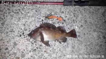 ������Х�