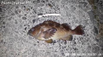 ������Х�