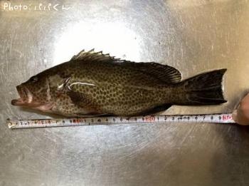 �������ϥ�