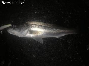 �����Х�