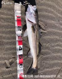 ¥µ¡¼¥Õ¥·¡¼¥Ð¥¹