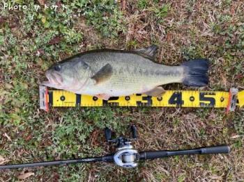 �֥�å��Х�