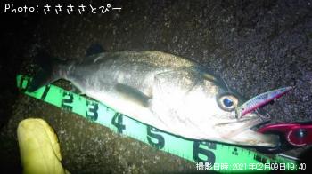 �����Х�