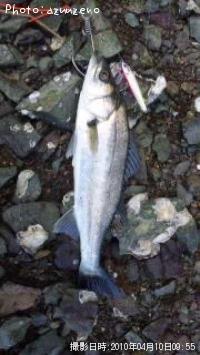 �����Х�