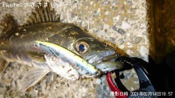 �����Х�