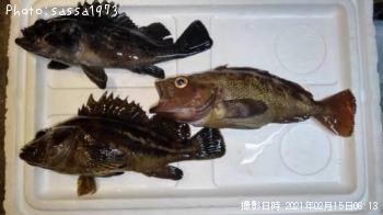 ������Х�