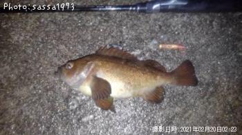 ������Х�