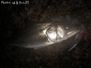 �����Х�