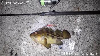 ���ޥ���