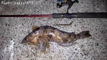 �����ʥ�