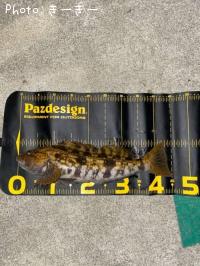 �����ʥ�