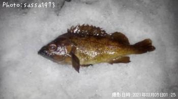 ������Х�