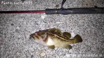 ���ޥ���