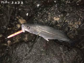 �����Х�