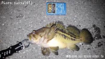 ���ޥ���