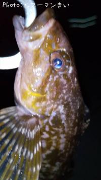 �����ʥ�