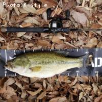 �֥�å��Х�