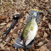 �֥�å��Х�