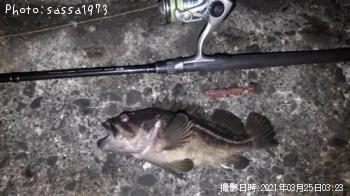 ���ޥ���