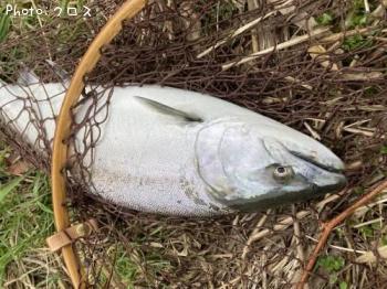 ������ޥ�