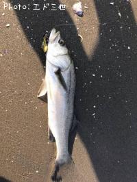 �����Х�