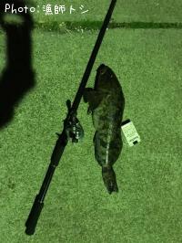 �����ʥ�