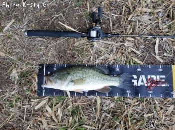 �֥�å��Х�