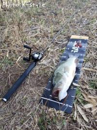 �֥�å��Х�