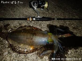 �����ꥤ��