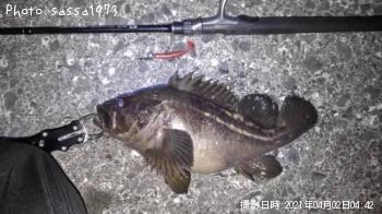 ���ޥ���