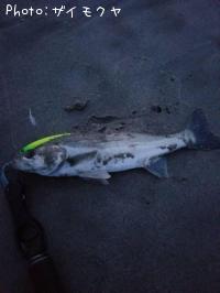 �����Х�