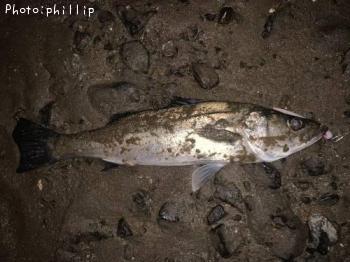 �����Х�