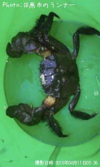 �⥯������