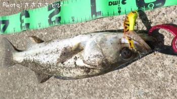 �����Х�