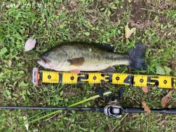 �֥�å��Х�