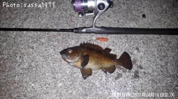 ������Х�