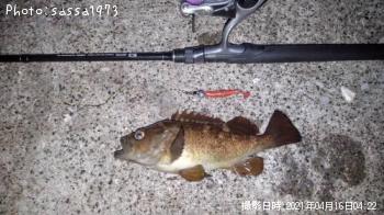 ������Х�