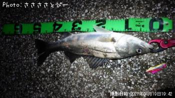 �����Х�����������