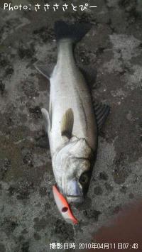 �����Х�