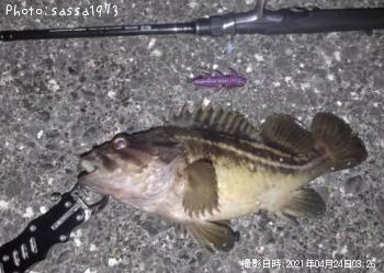 ���ޥ���