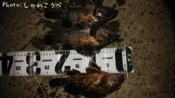 ����������������