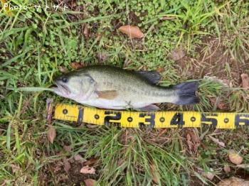 �֥�å��Х�