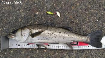 �����Х�