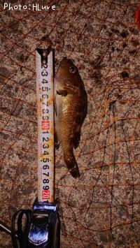 ������Х�