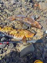 �����ʥ�