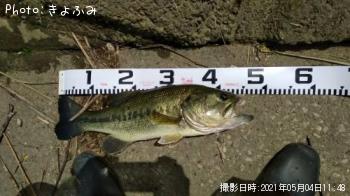 �֥�å��Х�